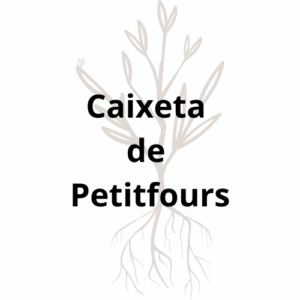 Caixeta regal ( recollida al local )